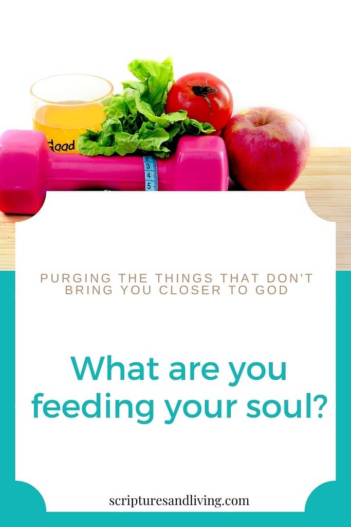 What are you feeding your soul pinterest banner
