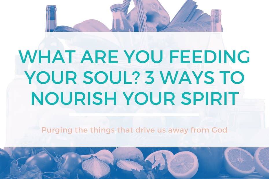 What Are You Feeding Your Soul 3 Ways To Nourish Your Spiritual Life Scriptures And Living