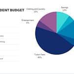 a pie chart showing budgeting for college students